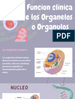 Presentación Biología Células Infantil Orgánico Verde y Azul