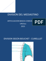 Division Mediastino