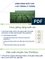 Co-So-Di-Truyen-Chon-Giong-Cay-Trong - Buoi9 - Nang-Suat - (Cuuduongthancong - Com)