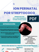 Infeccion Perinatal Por Streptococo