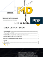 Presentación Contabilidad Gubernamental 3