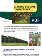 DASONOMIA - Tema 2. La Ordenacion. Arbol Bosques Plantacion