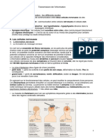 Communication Cellulaire Transmission Nerveuse PDF