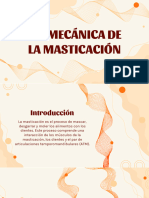 Biomecánica de La Masticación