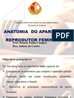 Anatomia Do Aparelho Reprodutor Feminino