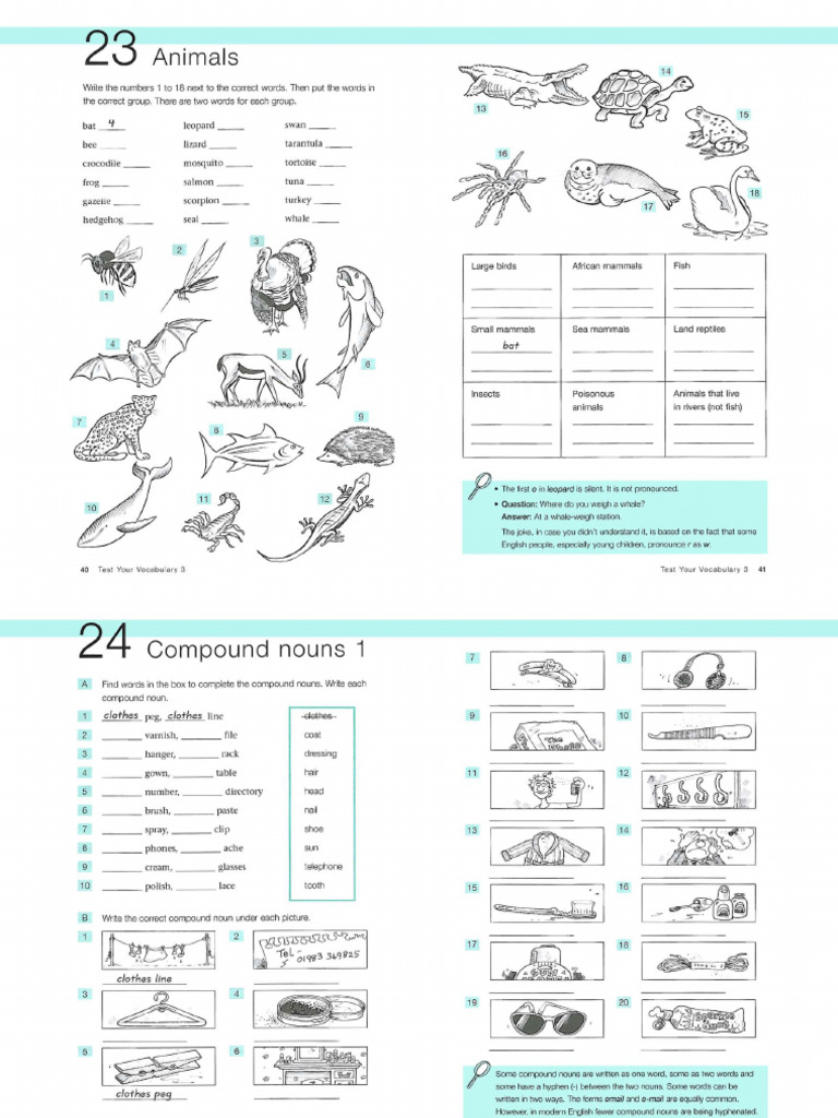 Iliotibial band syndrome visual data 4