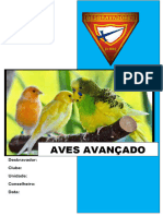 Aves Avançado