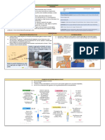 1 INDICACIONES y PHP