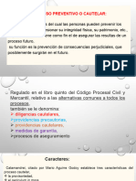 Proceso Preventivo o Cautelar - pptx2024