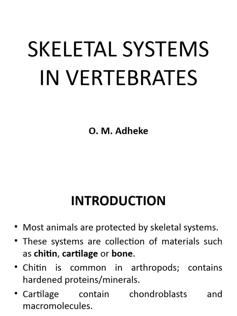 Skeletal Systems in Vertebrates | PDF | Skeleton | Bone