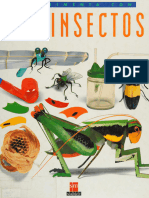 LOS INSECTOS