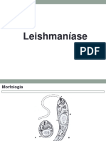 7 AULA Leishmaníase