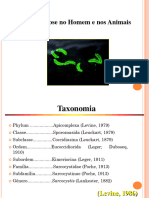 4 AULA Sarcocistose No Homem e Nos Animais