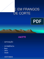 Ascite em Frangos de Corte