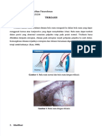 PDF Trikiasis Compress