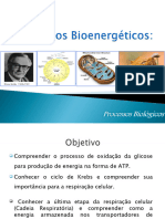 Processos Bioenergéticos e Neoglicogênese