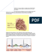 Teoria ECG