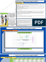 Anexo 1 - Nivel 1 Ficha de Lectura