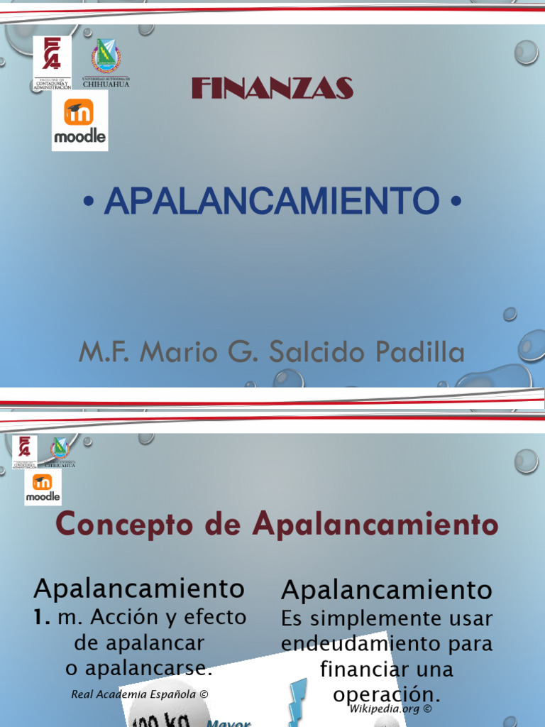 Tipos y Grado de Apalancamiento Financiero | PDF | Apalancamiento ...