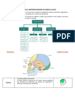 Ud1 - Tema 3: Anatomia Regional de Cabeza Y Cuello: Huesos Del Craneo Y La Cara