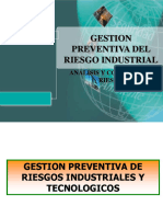 Gestion Preventiva Riesgos Industriales y Tecnologicos