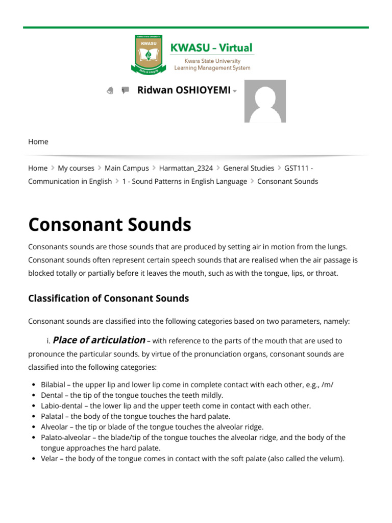Understanding Consonant Sounds in Phonetics | PDF | Phonetics | Human Voice
