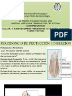 Clase 6 Histo Unid 3 Periodon Proteccion, Encia, Union Dentino-Gingival