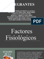 Factores Humanos 23