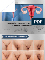 1.-Anatomia y Fisiologia Del Aparato Reproductor Femenino