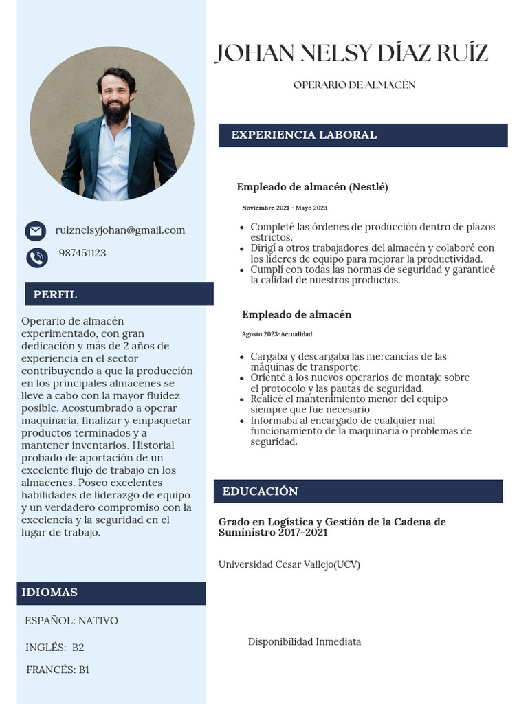 curr-culum-vitae-cv-de-contabilidad-simple-gris-pdf