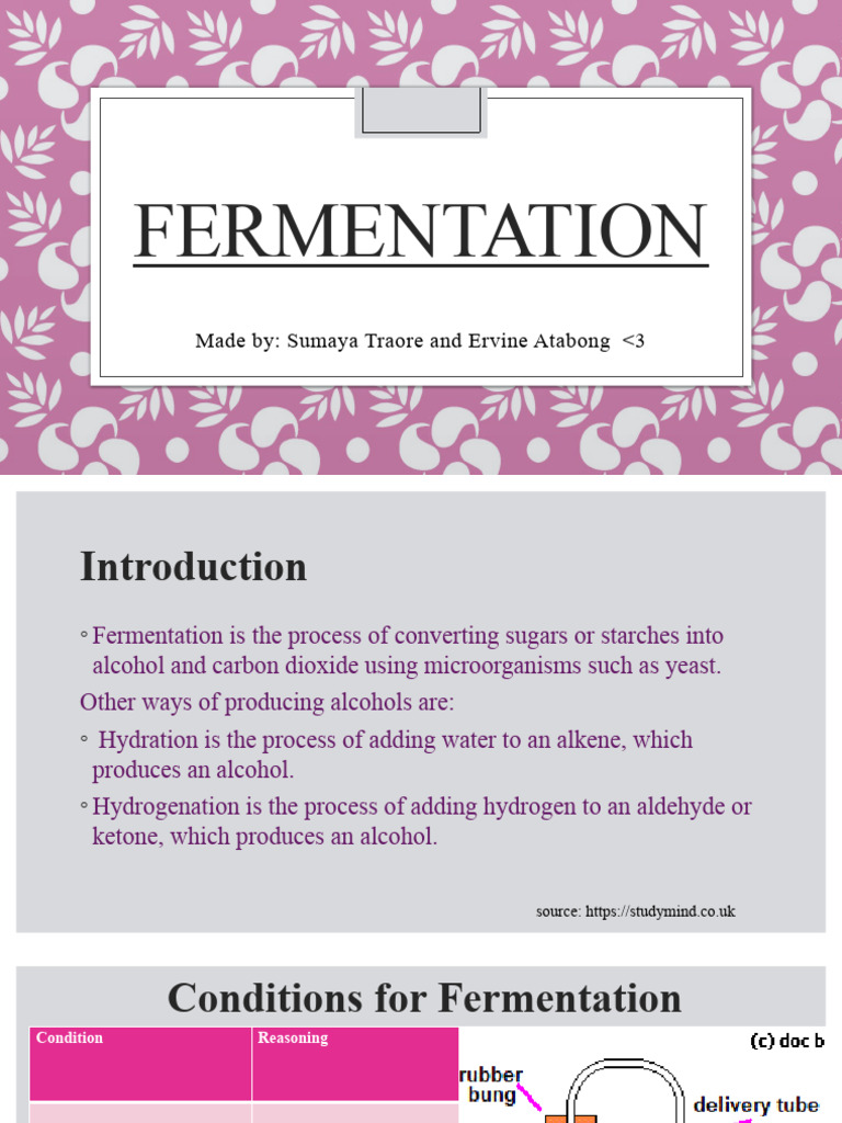 Understanding Alcohol Fermentation | PDF | Fermentation | Renewable Fuels