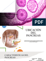 Presentación PANCREAS