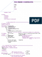 Ginecología 2