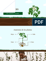 Las Plantas