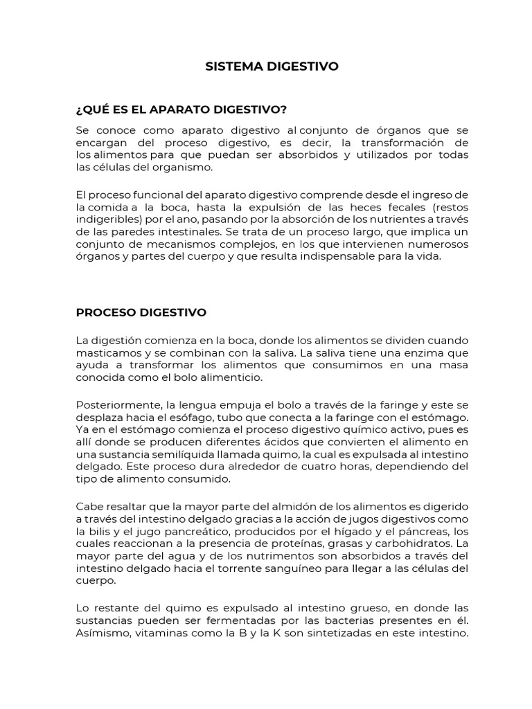Sistema Digestivo Pdf Sistema Digestivo Humano Digestión