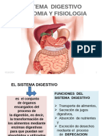 Aaa Sistema Digestivo RN 2024