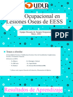 Lesiones Oseas en EESS