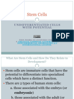 10b. Stem Cells - PowerPoint