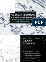 Molecular Mechanisms Memory Formation