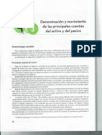 Denominacion y Movimiento de Las Principales Cuentas Del Activo y Pasivo