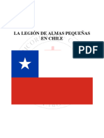 Legion de Las Almas Pequec3b1as en Chile