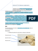 Anatomia Veterinaria Unvm