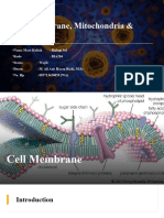 Cell Membrane, Mitochondria & Nucleus Pertemuan 3