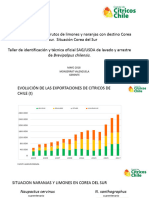 Taller Corea SA 2018