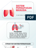 Sistem Pernapasan A23