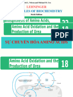 Bai Giang Chuyen Hoa Amino Acid