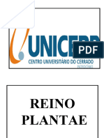 AULA SOBRE REINO PLANTAE