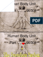 Anatomy Human Body Part IX Excretory System Unit PowerPoint For Educators From