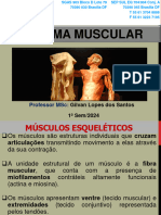 Sistema Muscular