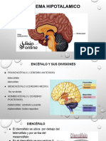 Sistema Hipotalamico